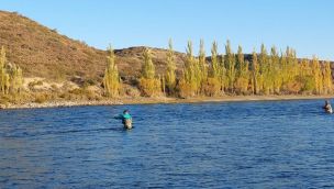 1208_pesca