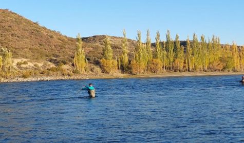 1208_pesca