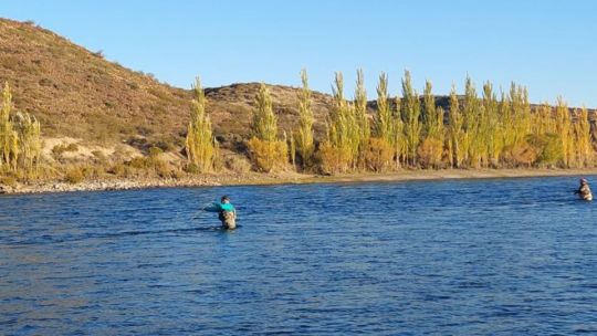 Temporada de pesca 2026-2027 en la Patagonia: cuánto costarán las licencias y qué cambios habrá
