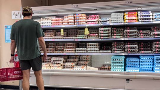 El 44% de los estadounidenses tiene problemas para pagar gastos esenciales