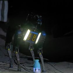 Los perros robot tendrán la tarea de vigilar la zona.