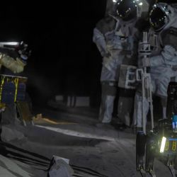 También les harán compañía a los astronautas.