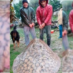 La captura registrada frente a Santa Elena vuelve a poner en primer plano la extraordinaria biodiversidad del río Paraná, un ecosistema donde conviven numerosas especies y en el que todavía pueden encontrarse ejemplares capaces de sorprender incluso a pescadores experimentados.