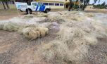 Destruyeron 17 km de redes utilizadas para la pesca ilegal en Termas de Río Hondo