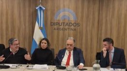 Comisión Diputados Mercosur-UE y Conflicto Brasil