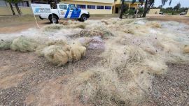 La problemática cobra especial importancia por tratarse de Las Termas de Río Hondo, uno de los escenarios vinculados históricamente con la pesca en el norte argentino.