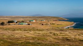 Malvinas: piden un referéndum para decidir sobre un proyecto de salmonicultura en las islas