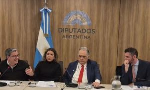 Comisión Diputados Mercosur-UE y Conflicto Brasil