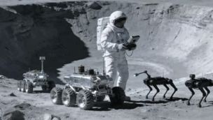 1308_PERRO ROBOT
