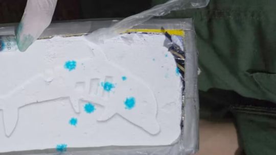 El misterioso "sello del delfín": qué significa la marca que aparece en paquetes de cocaína secuestrados en allanamientos