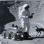 1208_perros robots
