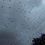 1408_cielo