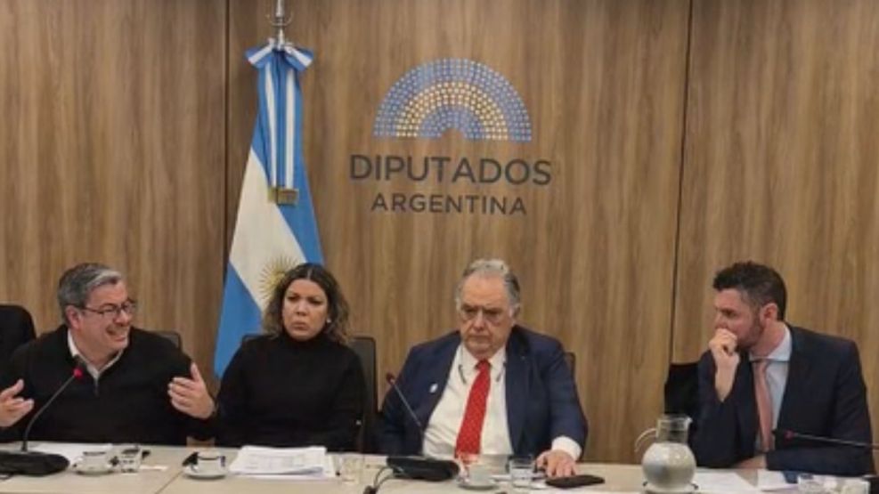Comisión Diputados Mercosur-UE y Conflicto Brasil