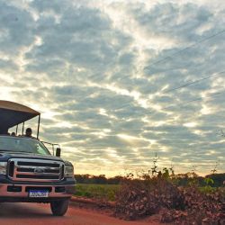 Viajamos a las profundidades del Pantanal de Mato Grosso para lograr un encuentro cercano con el mayor felino americano. 