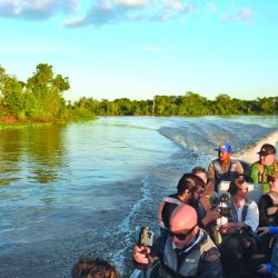 Viajamos a las profundidades del Pantanal de Mato Grosso para lograr un encuentro cercano con el mayor felino americano. 
