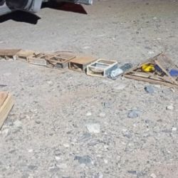 Los agentes policiales detectaron el traslado de las aves en un vehículo en el que circulaban tres hombres mayores de edad.