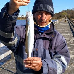1408_mapa_pique_pesca