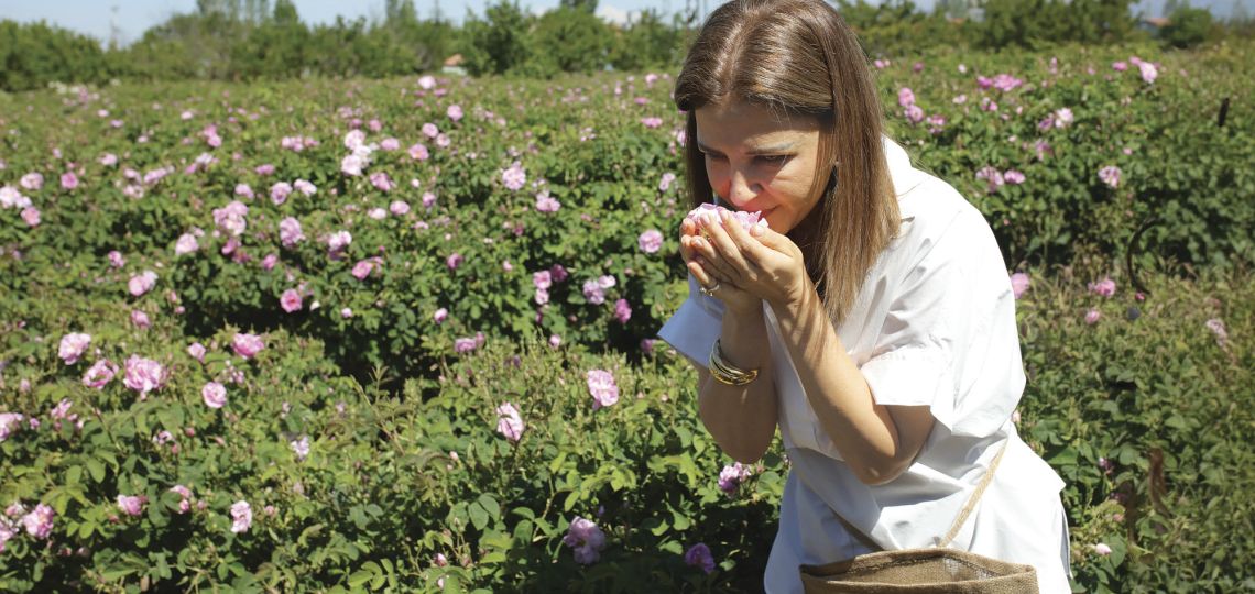 Rosa damascena: así es Isparta, la ciudad de Turquía donde nace el “oro líquido” de la perfumería
