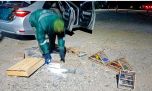 Rescataron 30 aves silvestres y secuestraron trampas clandestinas