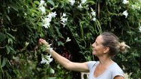 “Diseñar jardines es crear momentos para compartir”