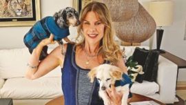 Karen Reichardt