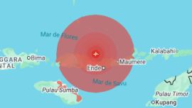 Fuerte terremoto de magnitud 7,7 sacudió Indonesia: hay 38 muertos