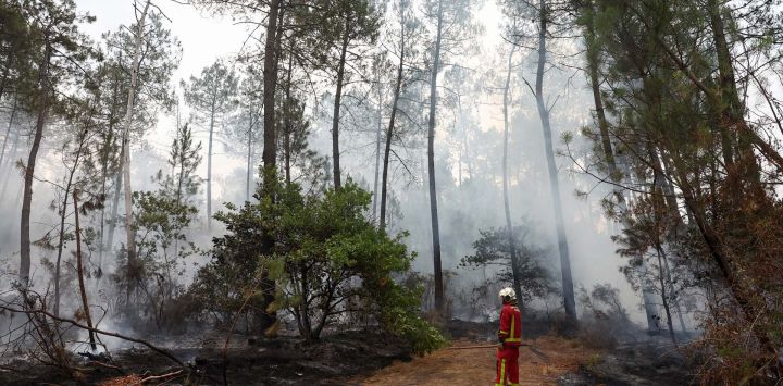 Un bombero del Cuerpo de Bomberos de París inspecciona la escena mientras el humo se eleva entre los árboles en Marcheprime, al oeste de Burdeos, debido a un incendio forestal que asolaba el bosque al norte de la cuenca de Arcachon (Gironda) desde el 22 de julio. El fuego, que ha arrasado la zona alrededor de la cuenca de Arcachon y ahora amenaza las afueras del área metropolitana de Burdeos, ha destruido 42.000 hectáreas de terreno quemado, según anunció la prefectura de Gironda; la prefectura ha evacuado a un total de 220.000 personas desde el 22 de julio.
