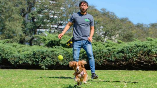 Distinguen a escuela de educación canina por su labor por el bienestar de las mascotas de compañía