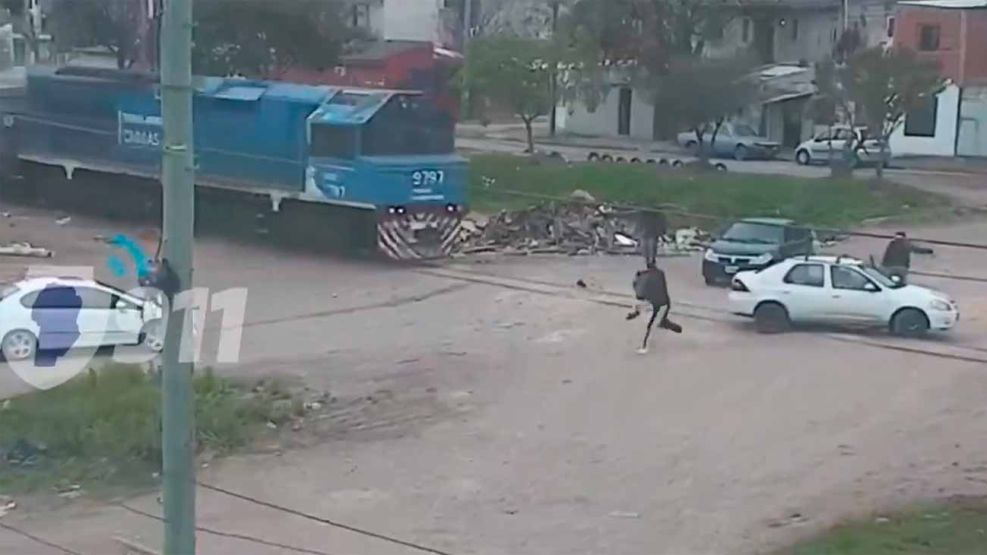 Tren choca a un auto 16082026