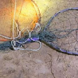 Los procedimientos tienen como objetivo desalentar la pesca ilegal y proteger los recursos ictícolas, especialmente en un ambiente donde el pejerrey constituye uno de sus principales atractivos deportivos. 