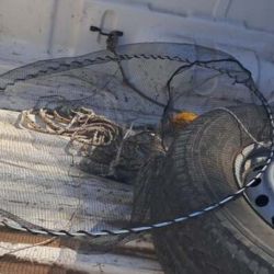 Los procedimientos tienen como objetivo desalentar la pesca ilegal y proteger los recursos ictícolas, especialmente en un ambiente donde el pejerrey constituye uno de sus principales atractivos deportivos. 
