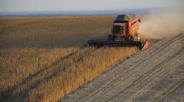 Campo retenciones 17082026
