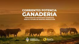 creditos del banco de corrientes