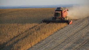 Campo retenciones 17082026