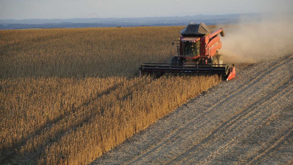 Campo retenciones 17082026