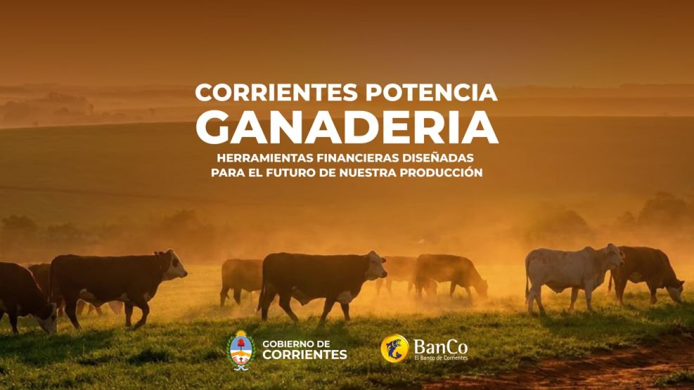 creditos del banco de corrientes