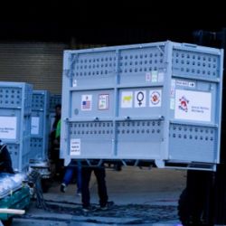 Cada contenedor debe contar con ventilación cruzada óptima, pisos antideslizantes absorbentes y sistemas de hidratación rápida que puedan operarse desde el exterior sin perturbar al animal