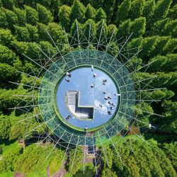 Imagen tomada con un dron de una vista del Parque Forestal Huanghai de Dongtai, en Dongtai, en Yancheng, en la provincia de Jiangsu, en el este de China. | Foto:Xinhua/Li Bo