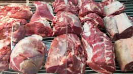 Carne vacuna