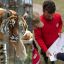 1808_animales