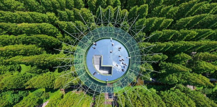 Imagen tomada con un dron de una vista del Parque Forestal Huanghai de Dongtai, en Dongtai, en Yancheng, en la provincia de Jiangsu, en el este de China.