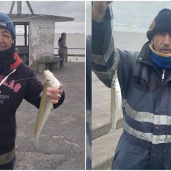 La temporada de pejerrey viene siendo complicada en gran parte de la costa del Río de la Plata, con pocas jornadas realmente fructíferas y una marcada irregularidad en el pique. 