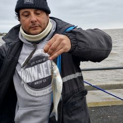 La temporada de pejerrey viene siendo complicada en gran parte de la costa del Río de la Plata, con pocas jornadas realmente fructíferas y una marcada irregularidad en el pique. 