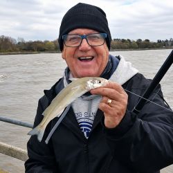 La temporada de pejerrey viene siendo complicada en gran parte de la costa del Río de la Plata, con pocas jornadas realmente fructíferas y una marcada irregularidad en el pique. 