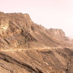 Alberga una biodiversidad sorprendente y una red de ecosistemas que atraen tanto a turistas como a investigadores.