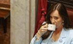  El cineasta de Milei atacó a Villarruel: "Demagoga de m..."