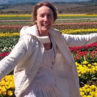 Dos escapadas para descubrir la belleza de las flores