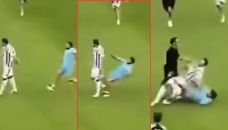 Hincha de la Juventus