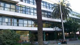 Municipalidad de San Martín