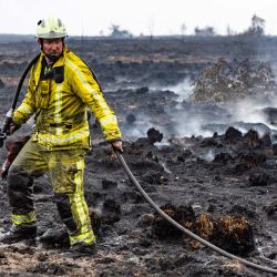 Un bombero transporta una manguera durante las operaciones contra un incendio forestal en la reserva natural de Hautes Fagnes (Altas Pantanos), cerca de Sourbrodt, en el este de Bélgica. | Foto:BRUNO FAHY / Belga / AFP